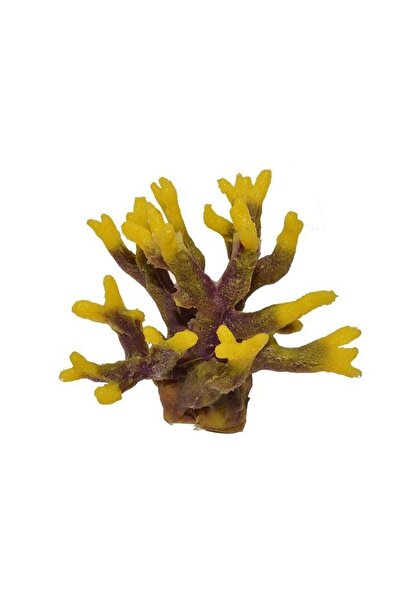 Ocean Free Coral acvariu maro cu muguri galbeni 10cm