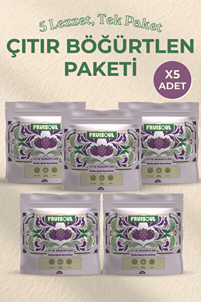 Böğürtlen Cipsi - Dondurularak Kurutulmuş Freeze Dried Çıtır Böğürtlen 5 Adet