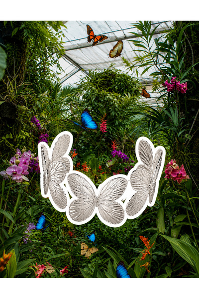 Noveria Studio Bloom Collection Papillon Silver Kelebek Çelik Kelepçe Bileklik