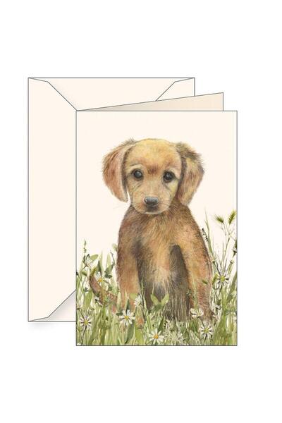 Tassotti Felicitare Catelus maro B6 cu plic, 121x184 mm, carton 200 g/m², Mul...