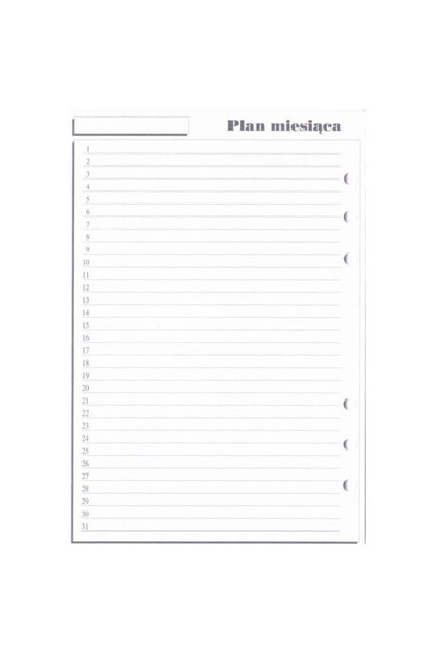 Antra Insert/rezerva pentru organizer Plan miesiaca, A5 210×145 mm, Multicolor