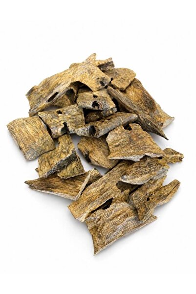 G.RIDE Chinese Oud