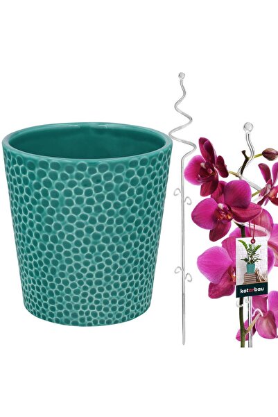 KOTARBAU Set de ghiveci turcoaz de 11 cm cu suport transparent de 58 cm pentr...