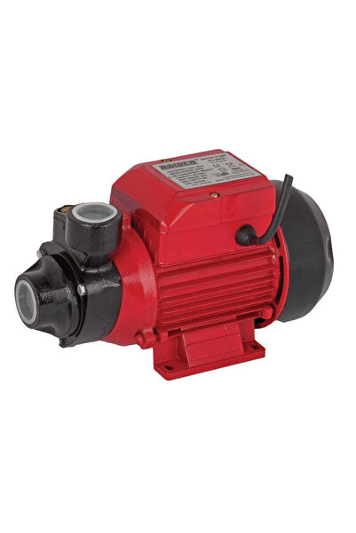 Raider Pompă de apă RD-WP60 500W, 070115