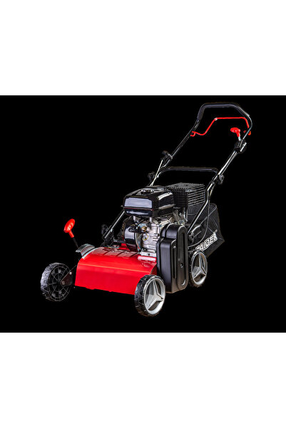 Raider Motocoasă pe benzină 4.0 kW 5.5 CP 420 mm 45 l RD-GCS 03, Raider, 075009