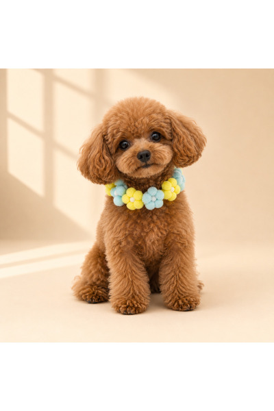 Olchi Çiçekli Köpek Boyun Tasma Aksesuarı Dekoratif Ponpon Çiçek Kolye