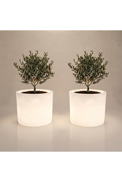 MYASEM STORE Set of 2 Laura Led Illuminated Planter Boxes for Indoor and Outd...