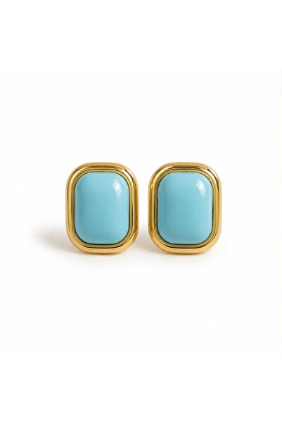 CHARMLUCKY Steel Vera Earrings
