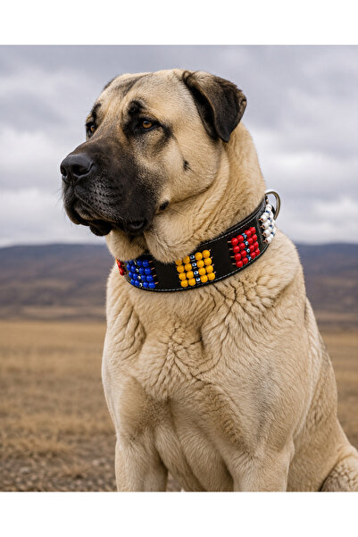 YILPAX Hakiki Deri Özel Otantik Boncuk İşlemeli Büyük Irk Köpek Tasması Kangal Akbaş Alabay Büyük Irk Boyun Tasması 80x8 cm