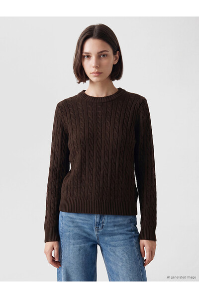 LC Waikiki Lcw Modest Brown Crew Neck Knitted Women's Sweater