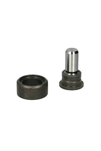 Auger Set Reparatie Furca Ambreiaj (rola Furca Ambreiaj) Zf As Tronic Ecospli...