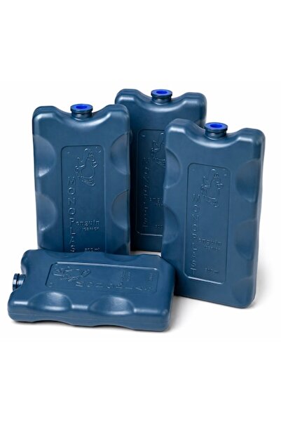 SHOPIENS Set de 4 pachete frigorifice reutilizabile gri de 500 ml pentru lăzi...