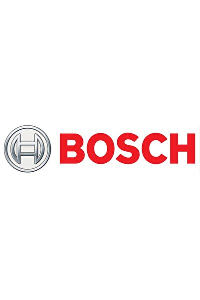 Bosch Perie pentru zidărie și beton S 1243HM Varșovia
