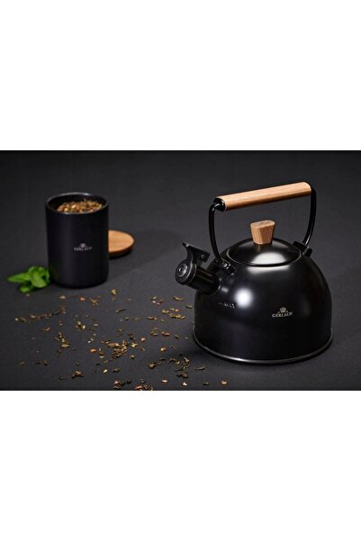 NO BRAND Ceainic din oțel inoxidabil 2.5 L cu fluier pentru inducție, mâner d...
