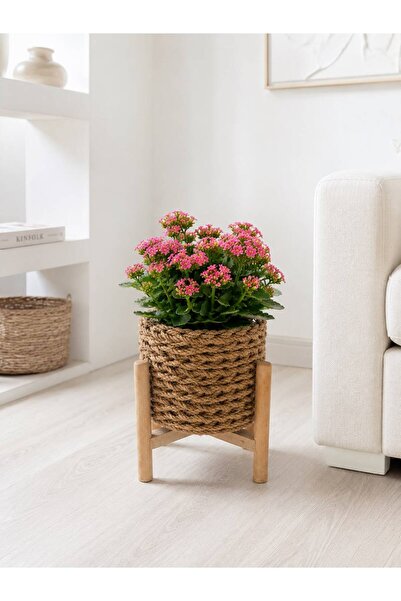 Bohem studio 20 cm Knitted Flower Pot with Wooden Stand – Jute