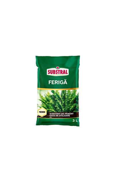 Substral Substrat de sol pentru ferigi 3 L