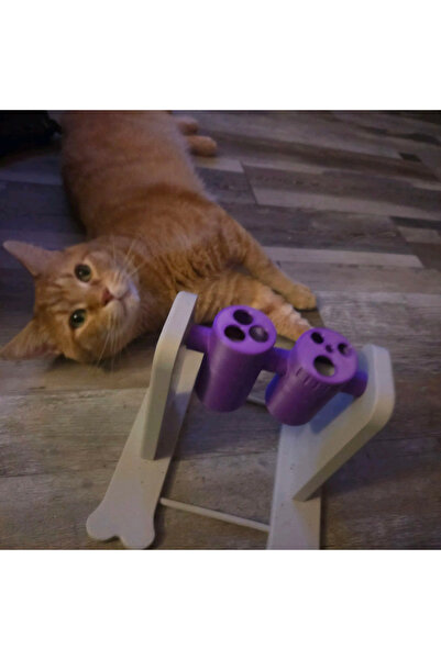 BESA3DProtoype Besa3D Cat Snack Swinging Toy Reward Food Dispenser Intelligence & Activity Toy Interactive Cat Toy