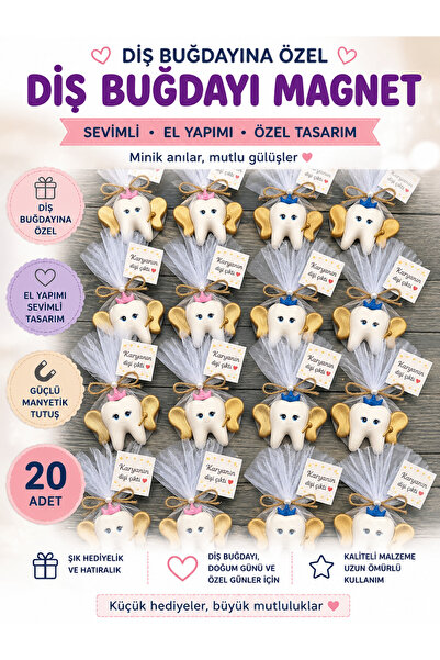 KARYA AURA Diş magnet dış buğdayı magnet