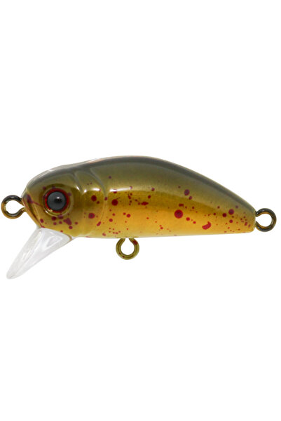 Hanfish Suni Yem