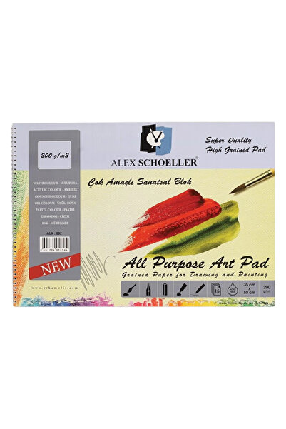 Alex Schoeller Alex Multipurpose Art Notebook (35 * 50 cm) 200 Grams 15 Sheet...