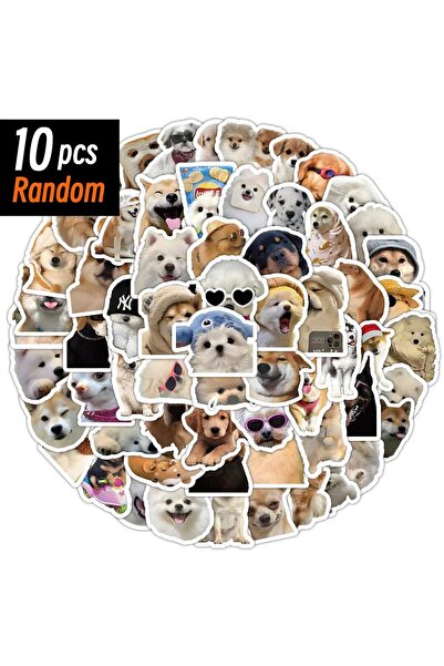 Choice 10 قطع عشوائية من 10/50/100 قطعة ملصقات كرتونية لطيفة ومضحكة على شكل ك...