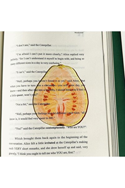 Choice1 Guava Creative Fruit Acrylic Bookmark Aesthetic Translucent Watermelo...