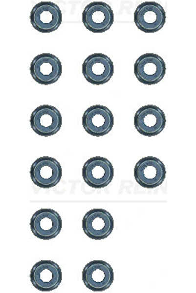VICTOR REINZ Set Garnituri, Ax Supape 12-13109-01 Ssangyong Tivoli/Xlv