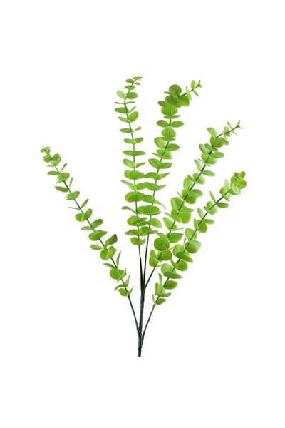 MONDEX Eucalipt artificial din plastic Viridis, 80cm, verde, 1 bucată