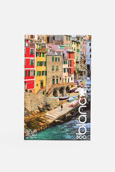 Buffalo Games 300 Pieces Brights of Cinque Terre
