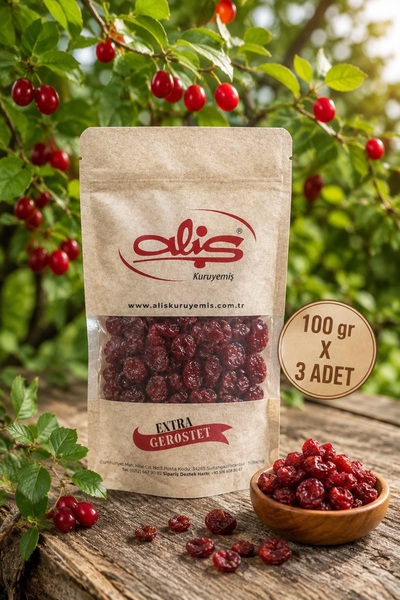 ALİŞ KURUYEMİŞ TURNA YEMİŞİ CRANBERRY 100 gram X 3 ADET