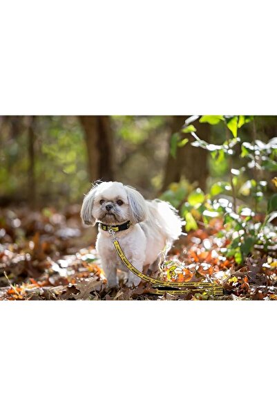Pets First لعبة مطاطية للكلاب متينة مع حبل سحب قوي للكلاب. لعبة كرة هوكي الجل...