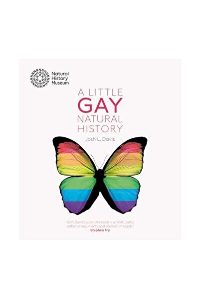 Generic (Unbranded) Istoria Micii Gay