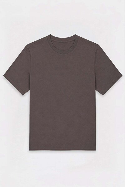 Antioch Dark Mink Regular Fit Basic Men's T-Shirt
