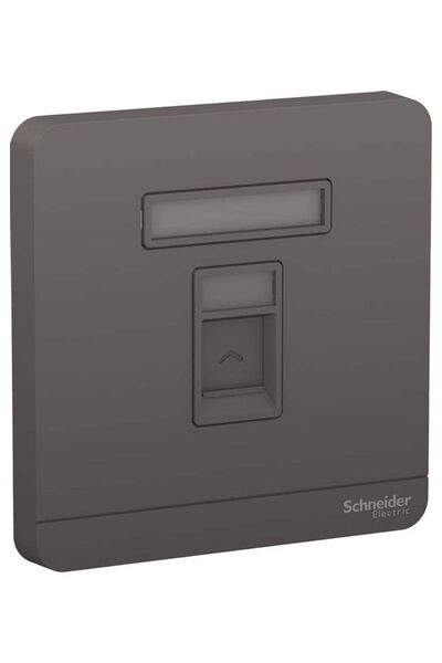 SCHNEIDER Gang Keystone Jack Wall Plate Grey