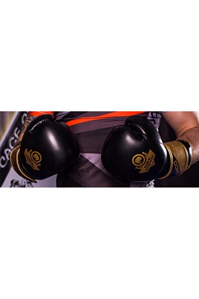 DBX BUSHIDO Mănuși de box B-2v10 negru/auriu 12 oz