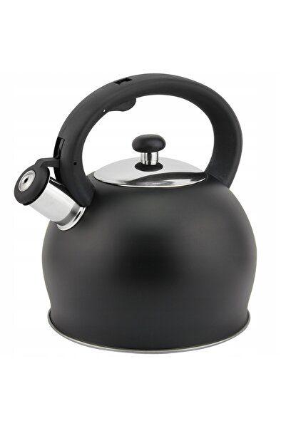NO BRAND Cazan de gătit pe gaz cu capac cu fluier, 1.8L, din oțel, pentru ind...
