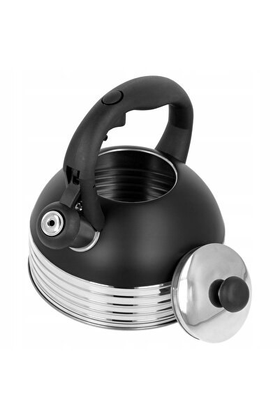 Brunbeste Ceainic tradițional din oțel de 2.5L, pentru inducție și gaz, cu fl...