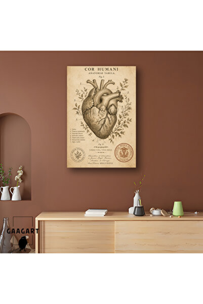 GAAGART Tekli Dikey Kanvas Tablo Vintage İnsan Kalbi Anatomisi Bilimsel Poster