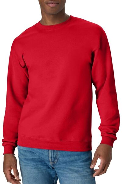 HANES Men's EcoSmart Sweatshirt