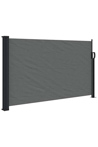 vidaxl Copertină laterală retractabilă Antracit 117 x 300 cm