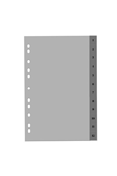 Optima Grey Plastic Index, A4, 120 Microns, Numeric 1-12, - plastic product
