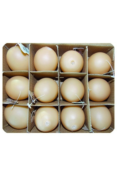 Eastland Nhr-Hlss Plastic Egg Play Set (140518) 12 Pieces 5cm