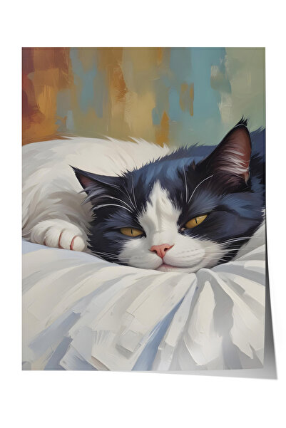 Uyuyan Siyah Beyaz Kedi Dekoratif Duvar Posteri Çerçevesiz Poster Ev Ofis Duvar Dekoru