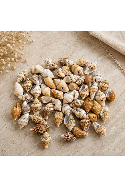 Kanguroom Natural mixed mussel shell - 8 mm / 10 mm / 12 mm - 40 gr
