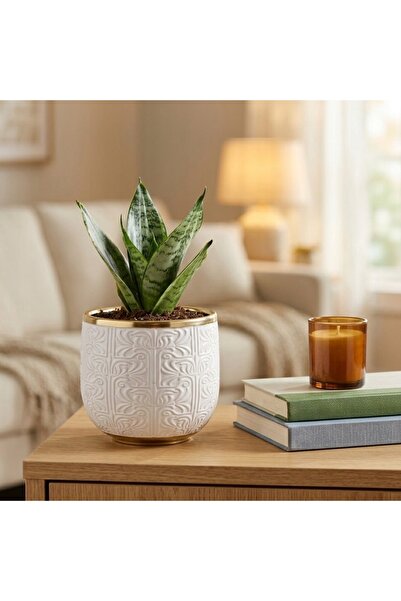 NO BRAND HUSĂ PENTRU GHIVECI GHIVECI DE 16,5x17 CM DIN CERAMICĂ DECORAȚIUNI G...