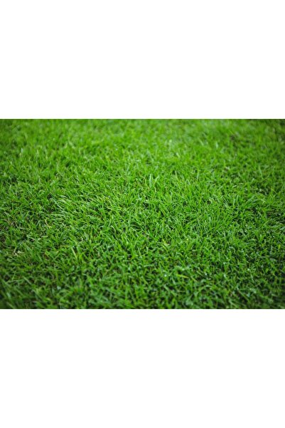 NO BRAND GlobalGrass semințe de iarbă decorative pentru grădină, semințe de i...