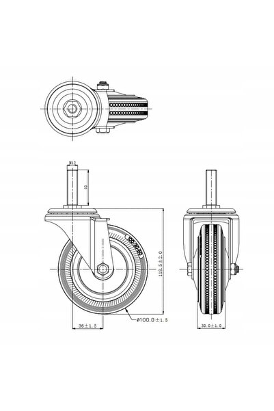 NO BRAND Roată pivotantă cu ax M12, 100mm, 70kg - 4 bucăți