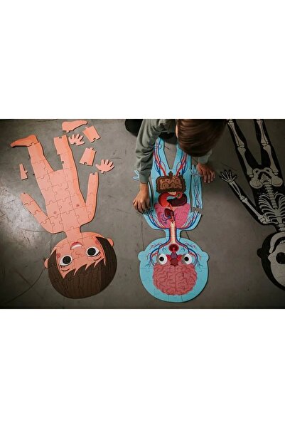 NO BRAND Puzzle educativ Anatomie Corp uman Janod
