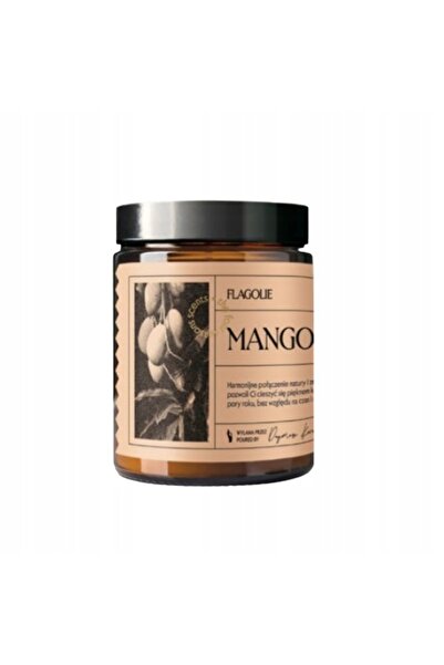 NO BRAND FLAGOLIE LUMÂNARE PARFUMATĂ 120G MANGO