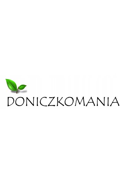 Prosperplast 5x Coubi DUPP400 Jardinieră dreptunghiulară pentru cactus + Bază